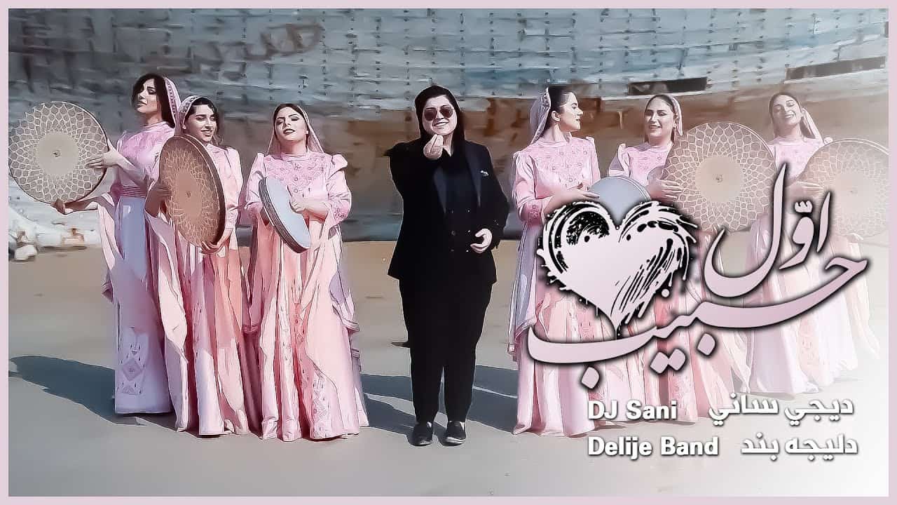 دیجی سانی