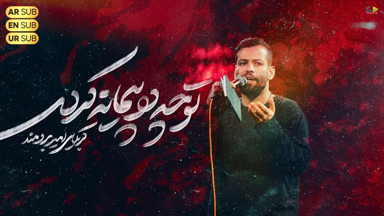 امیر برومند